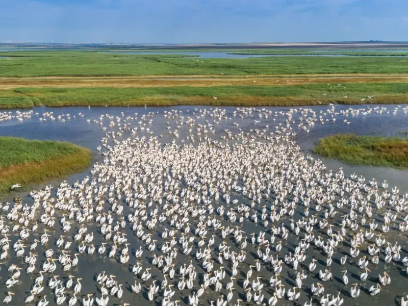 Safari et Ornithologie au Senegal - une aventure nature de 3 jours