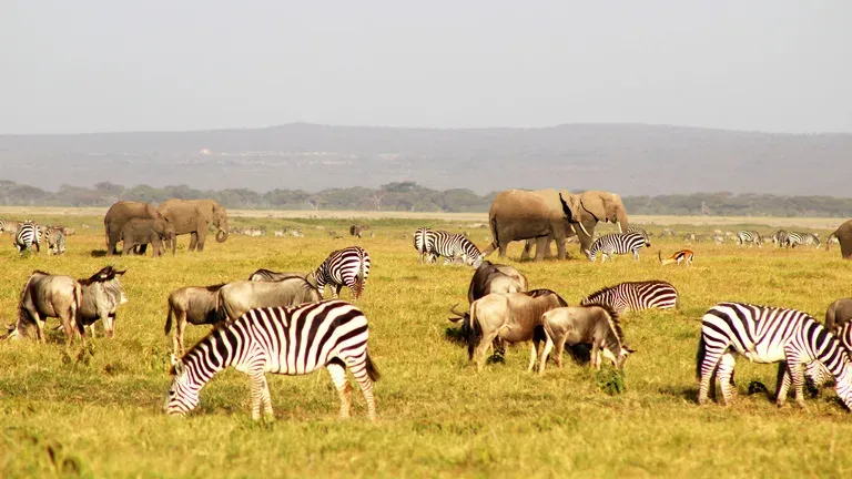 5-Day From Lakes to Legends the Kenya Unlimited Safari