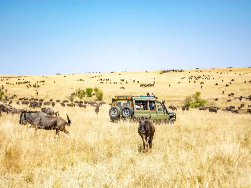 10 Days Classic Kenya and Tanzania Group Joining Safari
