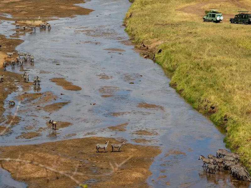 8 Days Best of Kenya Wildlife Safari