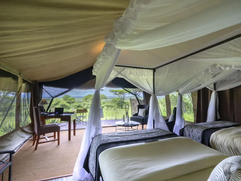 3 Day jambo mara wildlife gateway