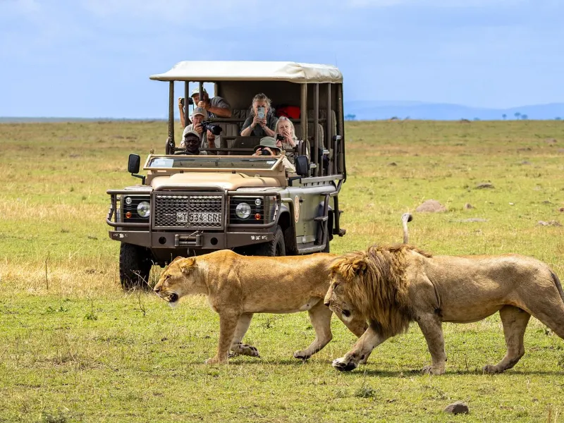 Luxury Maasai Mara Escape